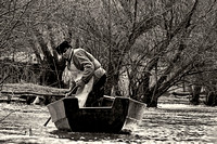 Danube Delta Fisherman