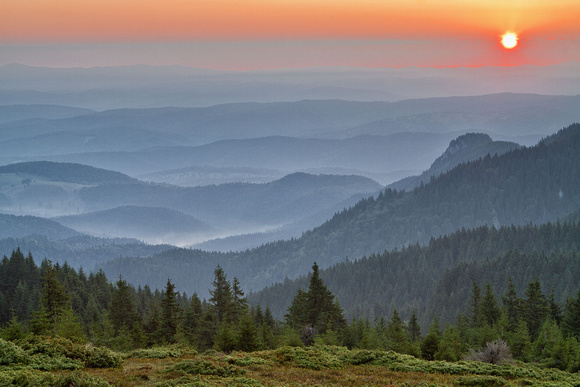 Carpathian Sunrise