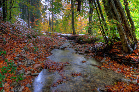Autumn Creek, Cheia